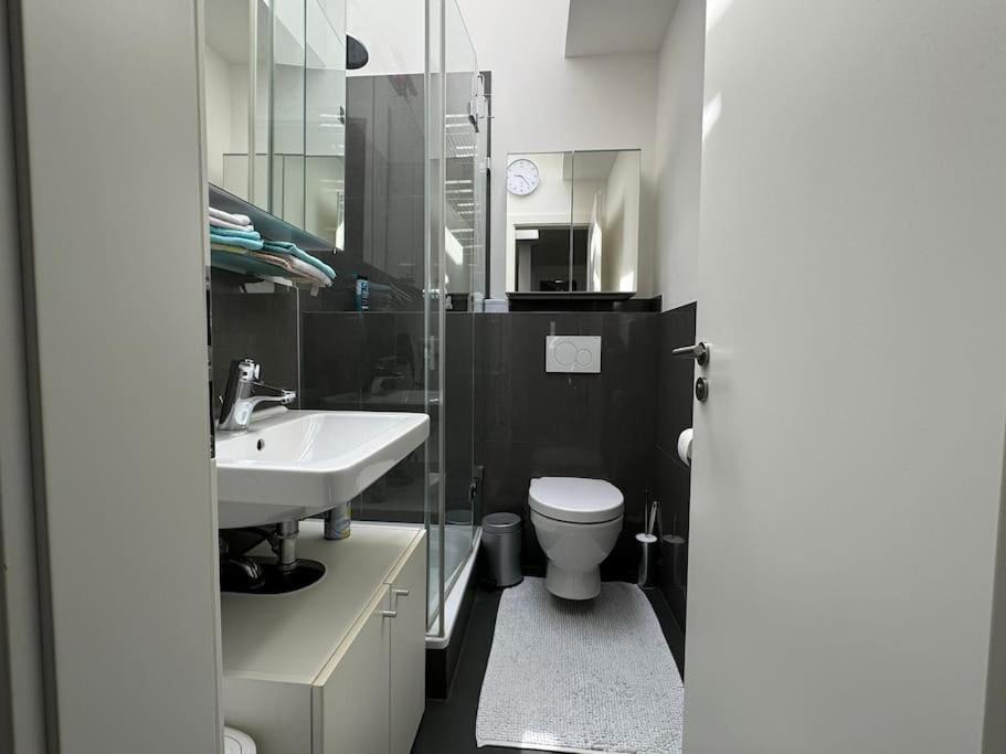 6 Zimmer Maisonette-Penthouse Pool Dachterrasse Luxus 뮌헨 외부 사진